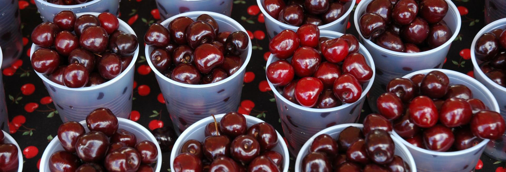 Traverse City Cherry Festival A Sweet Summer Escape!