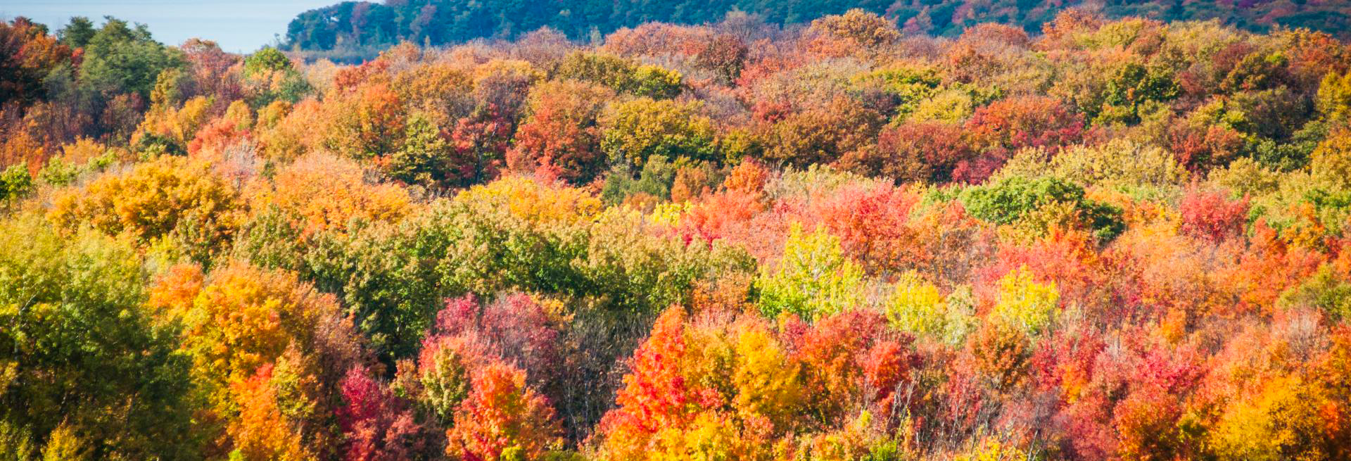 Traverse City Fall Color Tours A Guide to Michigan’s Autumn Splendor