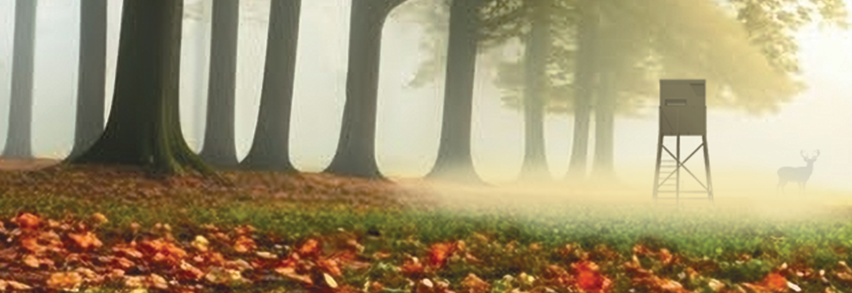 Goodbye_Honey_Hello_Money_1728_595 Turtle Creek Casino & Hotel